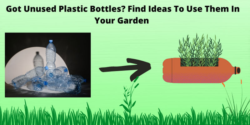 Got Unused Plastic Bottles? Find Ideas To Use Them In Your Garden 